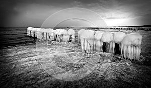 Wooden wave breakers in the frozen sea.
