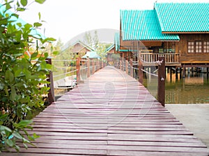 Wooden way with home stay