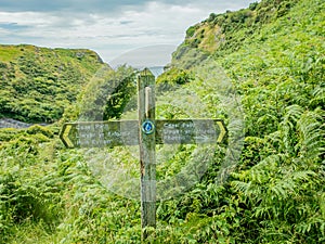 Wooden way marker on the Welsh coastal path