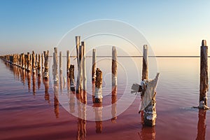 Wooden weathered logs for salt extraction in the pink water of extremely salty lake, amazing nature landscape with blue sky