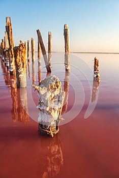 Wooden weathered logs for salt extraction in the pink water of extremely salty lake, amazing nature landscape with blue sky