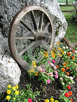 Wooden wheel