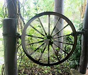 Wooden Wheel