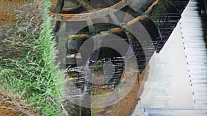 Wooden wheel at old water mill. Water falls on old water wheel. Wooden wheel turning under stream of water. Vertical video