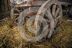 Wooden wheels of an old cart