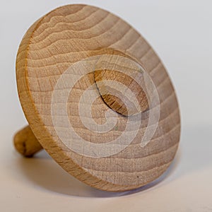 Wooden whirligig or spinning top toy for children