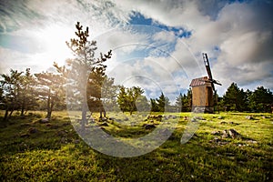 Wooden windmill in the field with stones and young pine-trees. Cloudy blue sky and sun. Rural landscape.