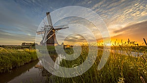 Wooden windmill grass and flowers