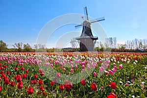 Wooden Windmill in Holland Michigan