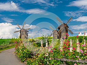 Wooden windmills. Vodianiki, Cherkasy region, Ukraine