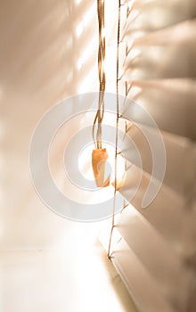 Wooden window blinds partially closed with bright light