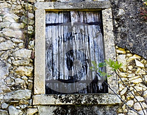 Wooden window with fig leaves