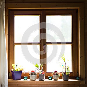 Wooden window with flowers