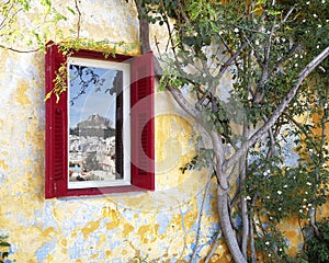 Wooden window and plant photo