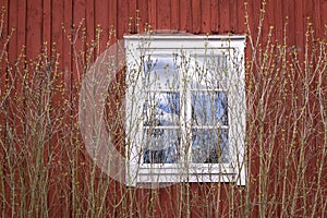 A wooden window of a typical Swedish hut with the typical Falu red photo