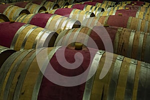 Wooden wine barrels in a basement