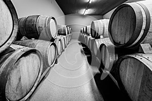 Wooden wine barrels stacked in modern winery cellar in Spain