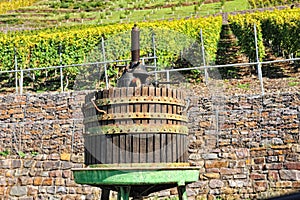 Wooden wine press for grapes