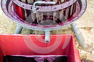 Wooden wine press with red must for pressing grapes