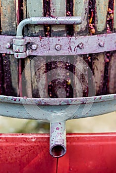 Wooden wine press with red must for pressing grapes