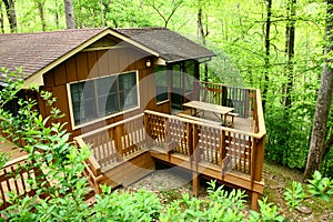 Wooden Woodland Cabin