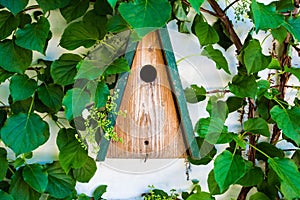 Wooden yellow bird house or nesting box a white wall in summer park or forest with green leafs
