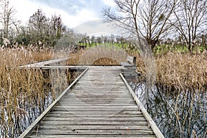 Wooden zig zag path or bridge on swampy ground with bench