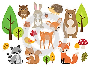 Cute Woodland Forest Animal Vector Illustration Set photo