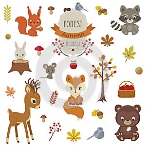 Woodland animals in autumn time.