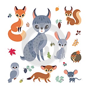 woodland animals and plants set