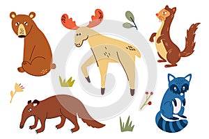 Woodland animals set. Hand draw bear, anteater, moose, ferret and raccoon. Wild forest animals. Scandinavian style. Perfect for