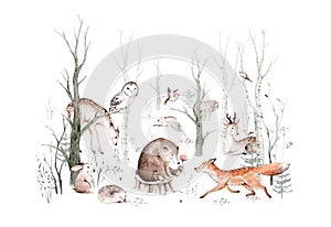 Woodland animals set. Owl, hedgehog, fox and butterfly, Bunny rabbit set of forest squirrel and chipmunk, bear and bird