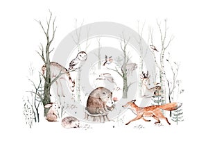 Woodland animals set. Owl, hedgehog, fox and butterfly, Bunny rabbit set of forest squirrel and chipmunk, bear and bird photo