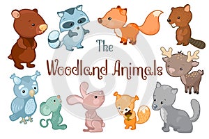 Woodland animals vector clipart on white background. Cute vector illustrations of bear, beaver, fox, rabbit, deer photo