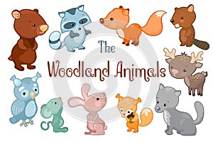 Woodland animals vector clipart on white background. Cute vector illustrations of bear, beaver, fox, rabbit, deer