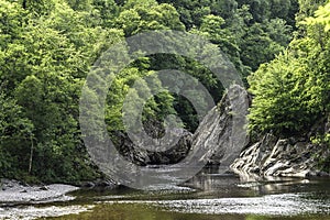 Woodland area of Linn of tummel