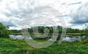 Woodland bog. Clouds sky. Green landscape. Colorful trees.