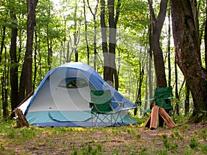 Woodland campsite photo
