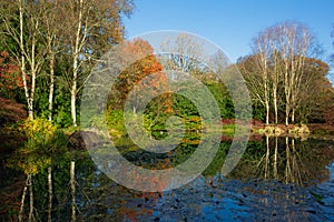 Woodland colours reflecting over the lake