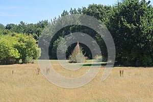 Woodland countryside in North Kent