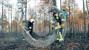 Woodland fire area with firemen damping the ground down