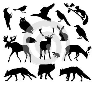 Woodland forest. Animals living in european forest. Vector icon set of silhouette. National park.