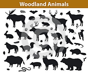 Woodland forest animals silhouettes collection