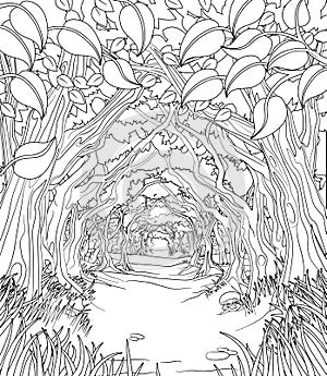 Woodland Forest Trees Path Coloring Book Scene