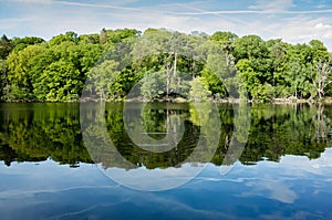 Woodland, Lake Reflections and Ripples in Shropshire, UK