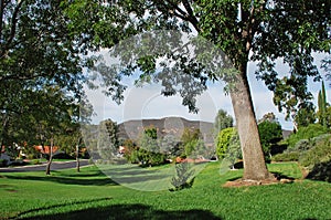 Woodland park in Laguna Woods Retirement Community photo