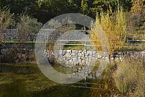 Woodland Ponds Near Slivia  Italy photo