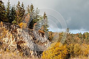 Woodland in rocky landscape of swabian alb