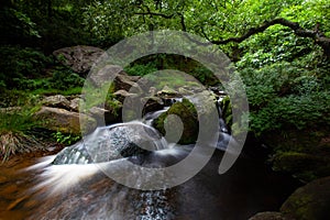 Woodland Scene with waterfalls in the Derbyshire Peak District National Park. Shot with slow shutter speed.