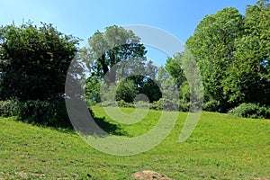 A woodland scene in the Westerham Countryside